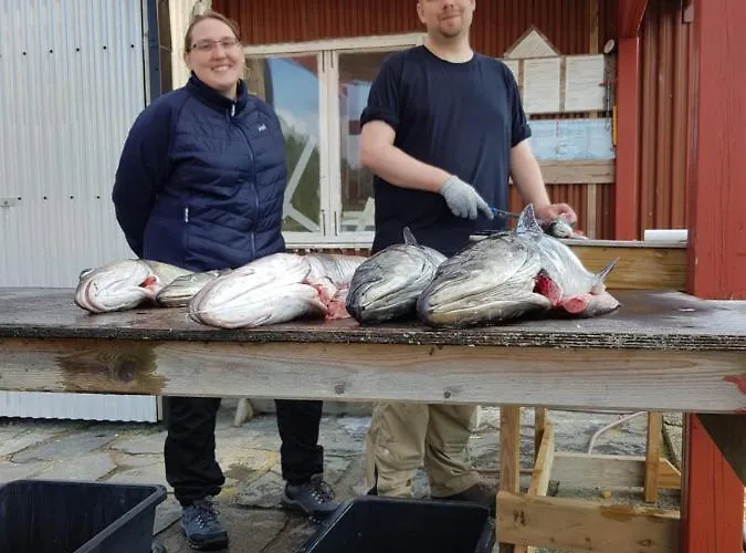 Vikaparken Hardangerfjord